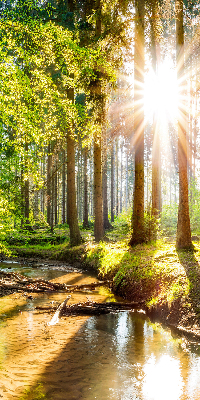 Binnenshuis verduisterend rolgordijn de zon schijnt door de bomen.