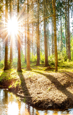 Binnenshuis verduisterend rolgordijn de zon schijnt door de bomen.