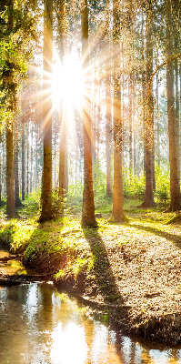 Binnenshuis verduisterend rolgordijn de zon schijnt door de bomen.