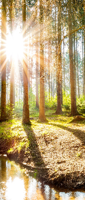Binnenshuis verduisterend rolgordijn de zon schijnt door de bomen.