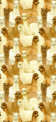 Binnenshuis verduisterend rolgordijn een kudde alpaca's