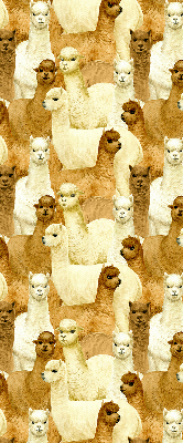 Binnenshuis verduisterend rolgordijn een kudde alpaca's