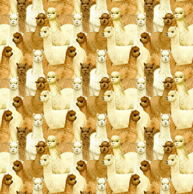 Binnenshuis verduisterend rolgordijn een kudde alpaca's