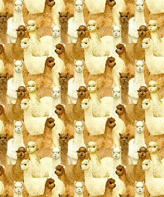 Binnenshuis verduisterend rolgordijn een kudde alpaca's