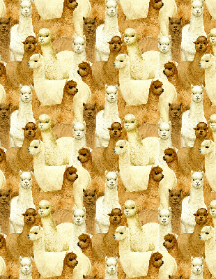 Binnenshuis verduisterend rolgordijn een kudde alpaca's
