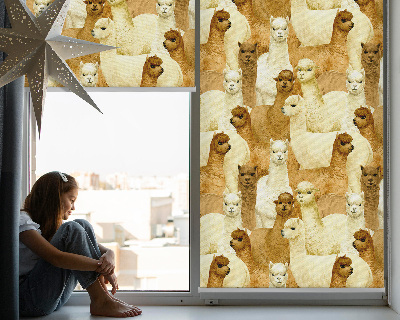 Binnenshuis verduisterend rolgordijn een kudde alpaca's