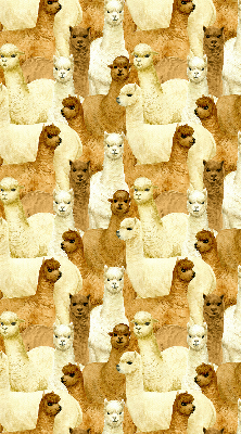Binnenshuis verduisterend rolgordijn een kudde alpaca's