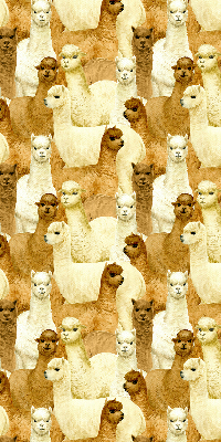 Binnenshuis verduisterend rolgordijn een kudde alpaca's