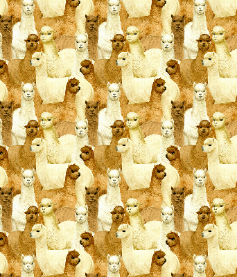Binnenshuis verduisterend rolgordijn een kudde alpaca's