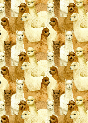 Binnenshuis verduisterend rolgordijn een kudde alpaca's