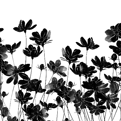 Verduisterend rolgordijn voor raam in zwarte bloemenprint