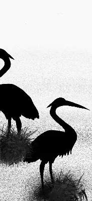 Verduisterend raamrolgordijn voor binnen