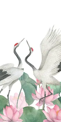 Verduisterend binnengordijn met kraanvogels tussen de lelies