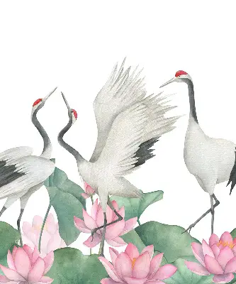 Verduisterend binnengordijn met kraanvogels tussen de lelies
