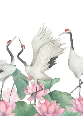 Verduisterend binnengordijn met kraanvogels tussen de lelies