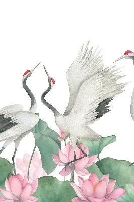 Verduisterend binnengordijn met kraanvogels tussen de lelies