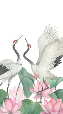 Verduisterend binnengordijn met kraanvogels tussen de lelies