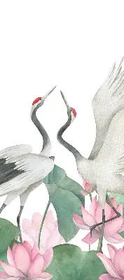 Verduisterend binnengordijn met kraanvogels tussen de lelies
