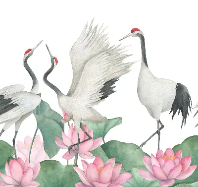 Verduisterend binnengordijn met kraanvogels tussen de lelies