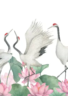 Verduisterend binnengordijn met kraanvogels tussen de lelies