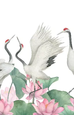 Verduisterend binnengordijn met kraanvogels tussen de lelies