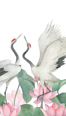 Verduisterend binnengordijn met kraanvogels tussen de lelies