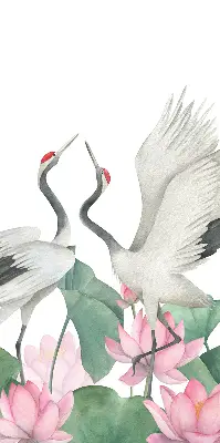 Verduisterend binnengordijn met kraanvogels tussen de lelies