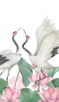 Verduisterend binnengordijn met kraanvogels tussen de lelies