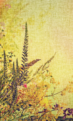 Verduisterend stoffen rolgordijn in de kleur planten
