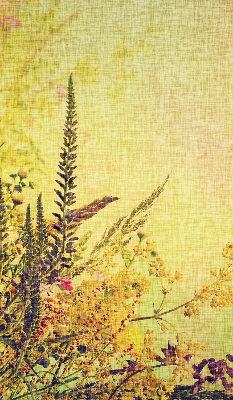 Verduisterend stoffen rolgordijn in de kleur planten