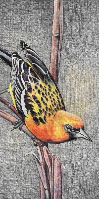 Verduisterend raamrolgordijn voor binnen met een vogel op een tak