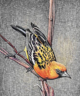 Verduisterend raamrolgordijn voor binnen met een vogel op een tak