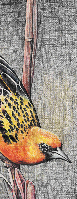 Verduisterend raamrolgordijn voor binnen met een vogel op een tak