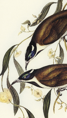 Verduisterend binnengordijn met vogels in een boom