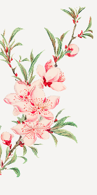 Binnenshuis verduisterend rolgordijn in roze met bloemmotief