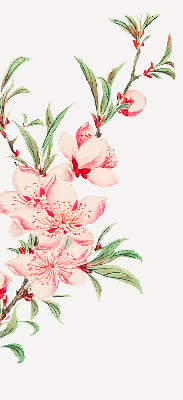Binnenshuis verduisterend rolgordijn in roze met bloemmotief