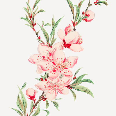 Binnenshuis verduisterend rolgordijn in roze met bloemmotief