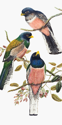 Verduisterend stoffen rolgordijn met vogels op de takken