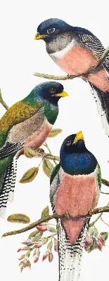 Verduisterend stoffen rolgordijn met vogels op de takken
