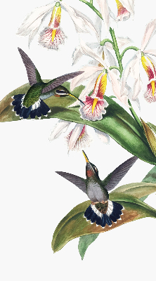 Verduisterend rolgordijn voor raam met vogels op een bloem