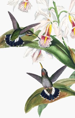 Verduisterend rolgordijn voor raam met vogels op een bloem
