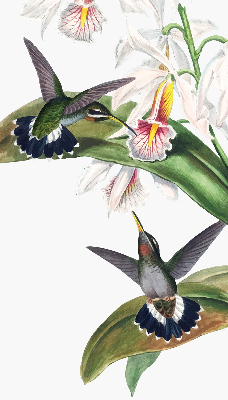 Verduisterend rolgordijn voor raam met vogels op een bloem