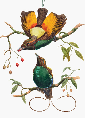 Verduisterend binnengordijn met vogels op een tak