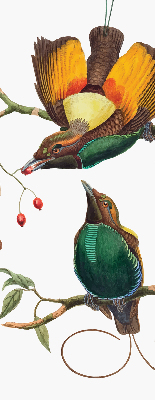 Verduisterend binnengordijn met vogels op een tak
