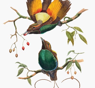 Verduisterend binnengordijn met vogels op een tak