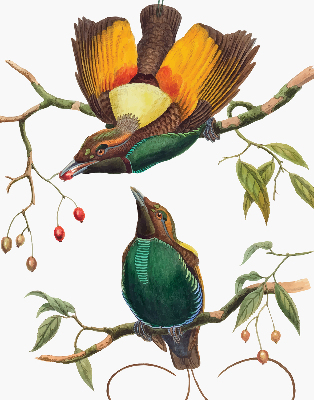 Verduisterend binnengordijn met vogels op een tak