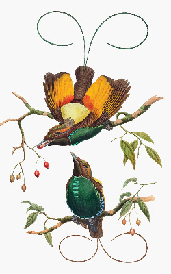 Verduisterend binnengordijn met vogels op een tak