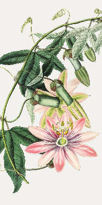Verduisterend rolgordijn voor raam in roze bloemmotief