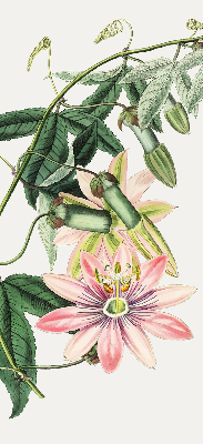 Verduisterend rolgordijn voor raam in roze bloemmotief