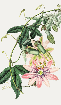 Verduisterend rolgordijn voor raam in roze bloemmotief